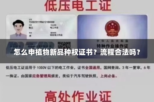 怎么申植物新品种权证书？流程合法吗？